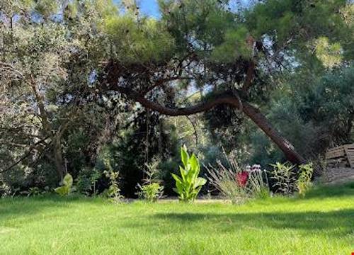turkiye/mugla/ortaca/24-butik-otel_e88f67a8.jpg
