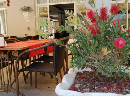 turkiye/mugla/ortaca/asram-anu-cinar-otel-apart-321462.jpg