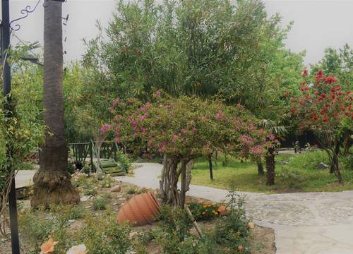 turkiye/mugla/ortaca/bahaus-resort-dalyan_518a0702.jpg