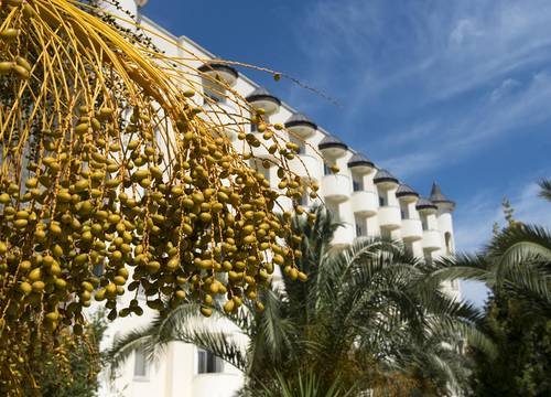 turkiye/mugla/ortaca/castle-resortspa-sarigerme_eb4f543a.jpg