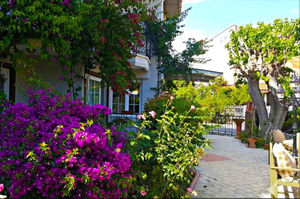 turkiye/mugla/ortaca/eon-dalyan-pansiyon_3fad201b.jpg