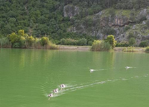 turkiye/mugla/ortaca/galaksy-otel-0f9826c9.jpg