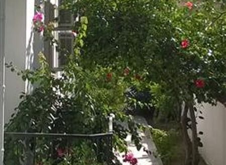 turkiye/mugla/ortaca/isil-suit-1089985811.jpg