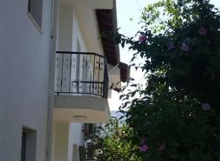 turkiye/mugla/ortaca/isil-suit-1462276448.jpg