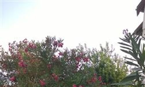 turkiye/mugla/ortaca/isil-suit-2122772078.jpg