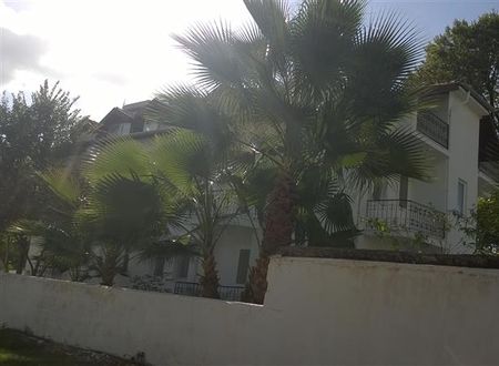turkiye/mugla/ortaca/isil-suit-320106523.jpg