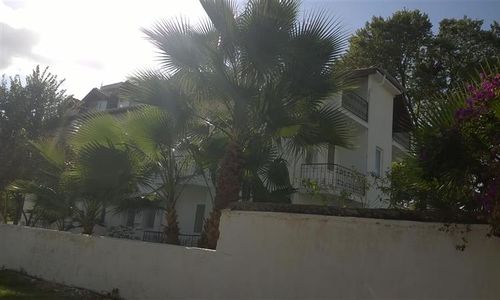 turkiye/mugla/ortaca/isil-suit-320106523.jpg