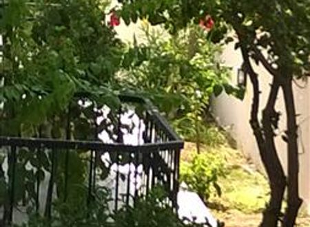 turkiye/mugla/ortaca/isil-suit-943131196.jpg