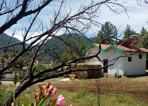 turkiye/mugla/ortaca/iztuzu-homes_22b8faab.jpg