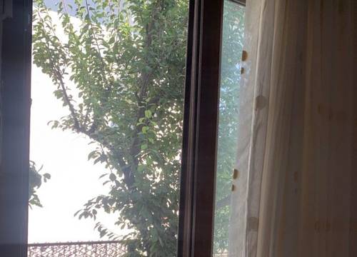 turkiye/mugla/ortaca/kristal-pansiyon_cbd0462c.jpg