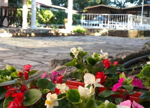 turkiye/mugla/ortaca/nehir-suit-otel-dalyan_ab8c277f.jpg