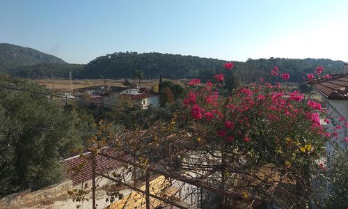 turkiye/mugla/ortaca/sarigerme-zeytin-apart_8bd04c12.jpg
