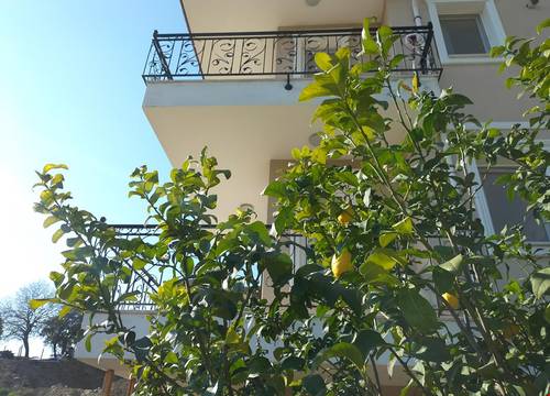 turkiye/mugla/ortaca/sarigerme-zeytin-apart_d957d468.jpg