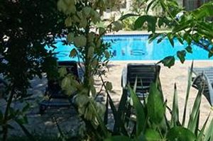 turkiye/mugla/ortaca/sirius-hotel-495027392.JPG