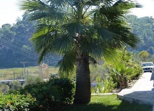 turkiye/mugla/ortaca/the-royal-links_136e0b99.jpg