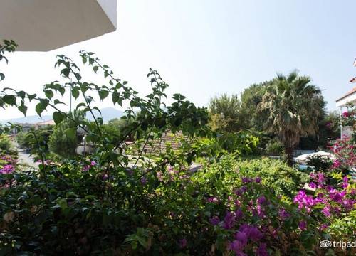 turkiye/mugla/ortaca/yeni-doga-hotel_aa0b2f18.jpg