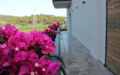 Mila House Muğla · 2