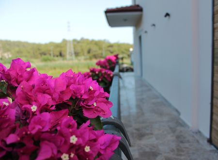 turkiye/mugla/sarigerme/624b1590d6e5f04836b21a8c711208fc4c.jpg