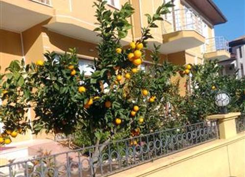 turkiye/mugla/sarigerme/sirman-suite-boutique-hotel-1100708404.jpg