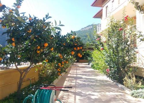 turkiye/mugla/sarigerme/sirman-suite-boutique-hotel-134921040.jpg