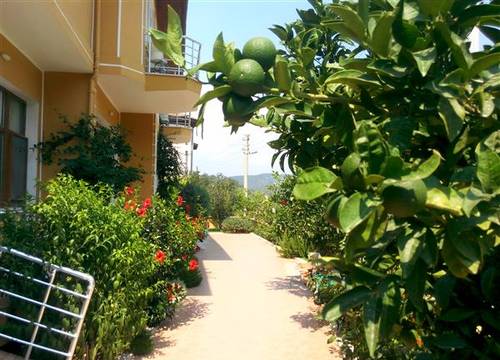 turkiye/mugla/sarigerme/sirman-suite-boutique-hotel-2083535333.jpg