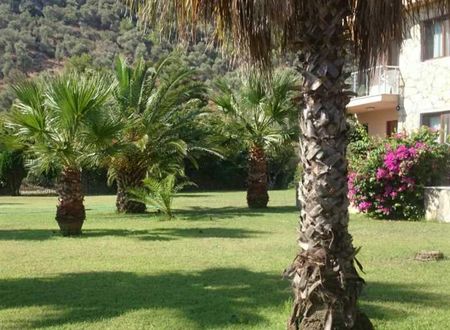 turkiye/mugla/sarigerme/the-palm-apart-sarigerme-75a8c9fa.jpg