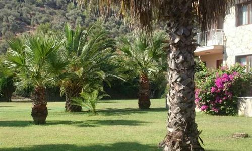 turkiye/mugla/sarigerme/the-palm-apart-sarigerme-75a8c9fa.jpg