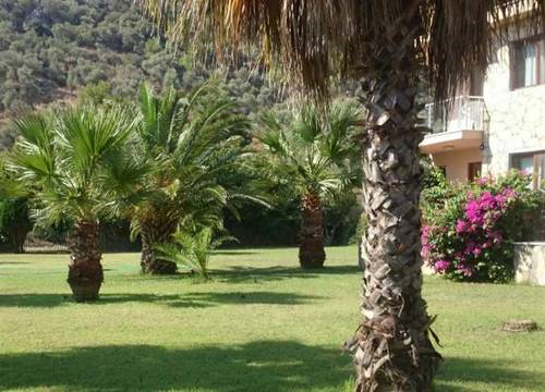 turkiye/mugla/sarigerme/the-palm-apart-sarigerme-75a8c9fa.jpg