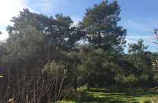 turkiye/mugla/ula/derin-apart_c0e47c0b.jpg