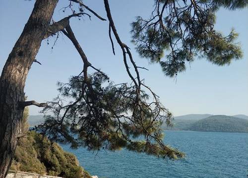 turkiye/mugla/ula/orman-kampi-tas-evleri_3b49e549.jpg
