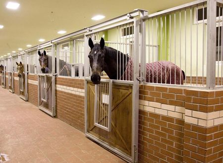 turkiye/mugla/ula/padok-premium-hotel-stables_36b489a5.jpg