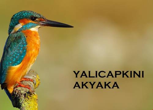 turkiye/mugla/ula/yalicapkini-boutique-hotel_543bf8f2.jpg