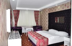 turkiye/mus/mus-merkez/mir-saray-hotel_0a11dfe0.jpg