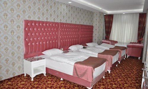 turkiye/mus/mus-merkez/mir-saray-hotel_0ddf80c5.jpg