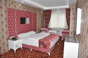 turkiye/mus/mus-merkez/mir-saray-hotel_efaafc0f.jpg