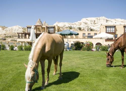 turkiye/nevsehir/goreme/tourist-hotels-resort-cappadocia-602361.jpg