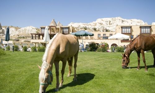 turkiye/nevsehir/goreme/tourist-hotels-resort-cappadocia-602361.jpg