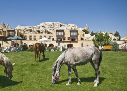 turkiye/nevsehir/goreme/tourist-hotels-resort-cappadocia-602373.jpg