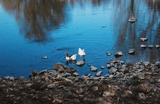 turkiye/nevsehir/kapadokya/bungalow-life-garden_3c4842fe.jpg