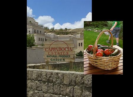 turkiye/nevsehir/kapadokya/cappadocia-estates-8649d747.jpg