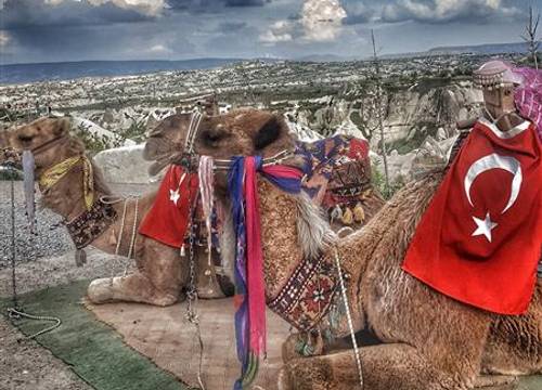 turkiye/nevsehir/kapadokya/garden-cave-hotel-cappadocia-ce02eae4.jpeg