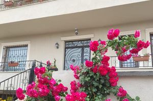 turkiye/nevsehir/kapadokya/trigo-hotel_23600552.jpg