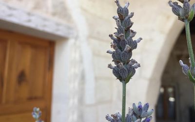 Vigneron Cave Hotel · 2