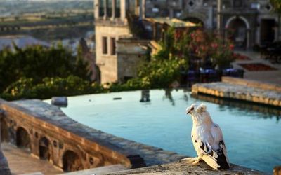 Museum Hotel Cappadocia · 4