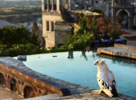 turkiye/nevsehir/nevsehir-kapadokya/museum-hotel-cappadocia-1742093012.jpg