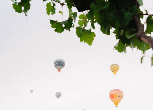 turkiye/nevsehir/nevsehir/paradise-cappadocia-hotel_87508c59.jpg