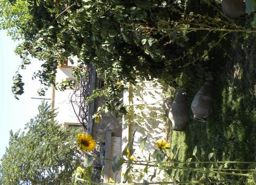 turkiye/nevsehir/urgup/gerdis-evi-guesthouse-385015.jpg