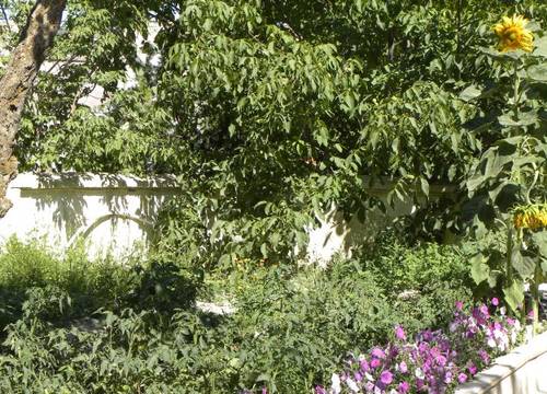 turkiye/nevsehir/urgup/gerdis-evi-guesthouse-385048.jpg