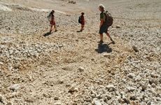 turkiye/nigde/camardi/safak-pansiyon_9a7a6b6e.jpg