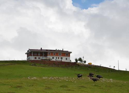turkiye/ordu/aybasti/belen-yayla-otel_3e06c5c8.jpg